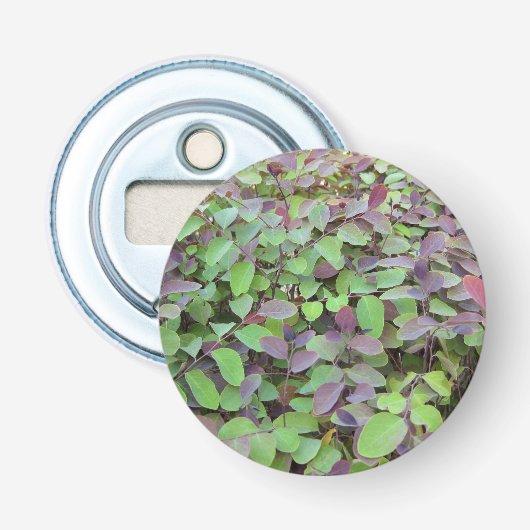 赤と緑葉の枝の写真 栓抜き (正面)