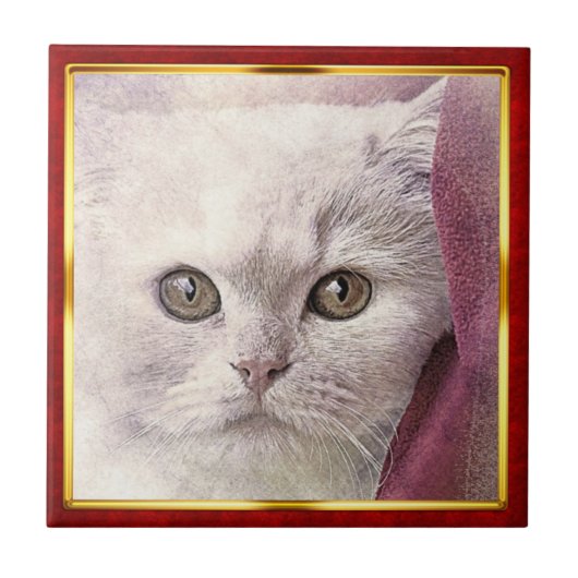 赤と金のフレームの抽象的な猫のプリント タイル (正面)