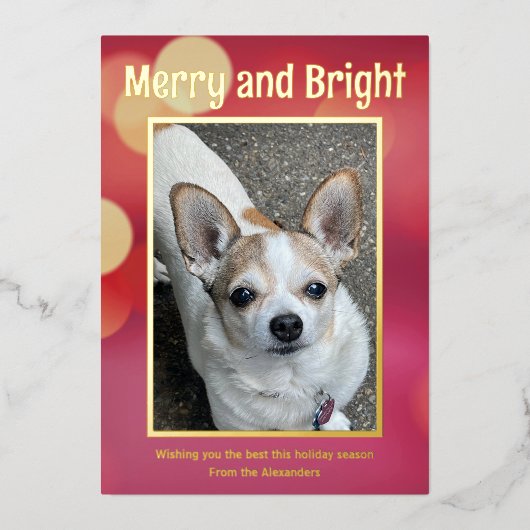 赤と金の写真 箔シーズンカード (正面)