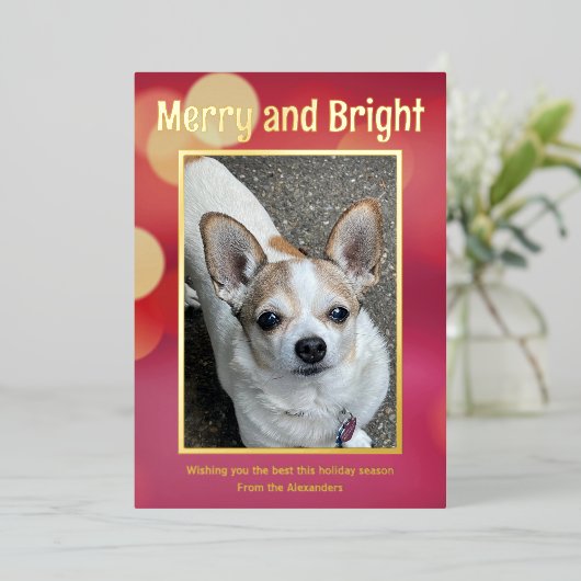 赤と金の写真 箔シーズンカード (立ち正面)