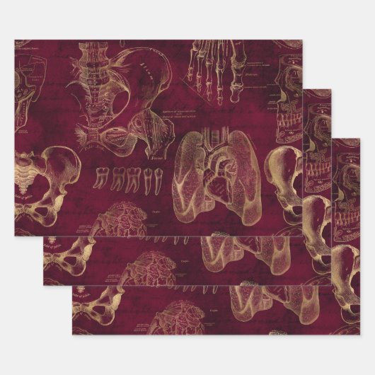赤と金ゴールドの赤の解剖学的スケッチ ラッピングペーパーシート (セット)