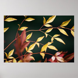 赤と金ゴールドプリント ポスター