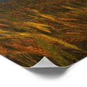 赤と金ゴールド ポスター (角)