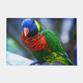 赤と青と緑のインコの鳥のスタイリッシュな写真 ドアマット (正面)