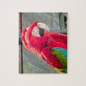 赤と青のオウムが一緒に座っている ジグソーパズル (縦)