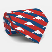赤と青のストライプB2爆撃機パターン ネクタイ (ロール)