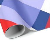 赤と青のバッファロープレイドラッピング紙 ラッピングペーパー (ロールコーナー)