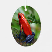 赤と青のポイズンダーツカエル メタルオーナメント (正面左)