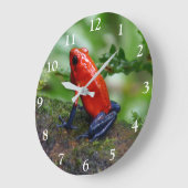 赤と青のポイズンダーツカエル ラージ壁時計 (傾斜)