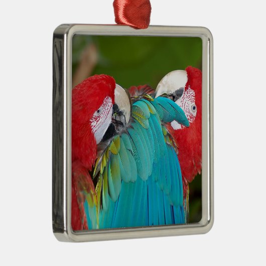 赤と青のマカオパロットプリント メタルオーナメント (右)