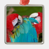 赤と青のマカオパロットプリント メタルオーナメント (正面)