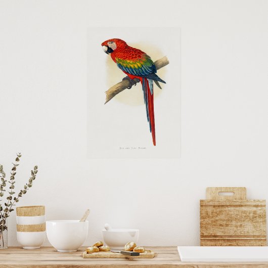 赤と青のマカオ ポスター (キッチン)