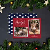 赤と青の猫の顔パーフェクトホリデーフォトカード シーズンカード