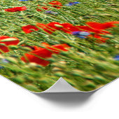 赤と青の花を持つ夏のフィールド ポスター (角)