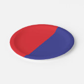 赤と青 ペーパープレート (アングル)