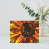 赤と黄のひまわりの庭はがき ポストカード (スタンド正面)