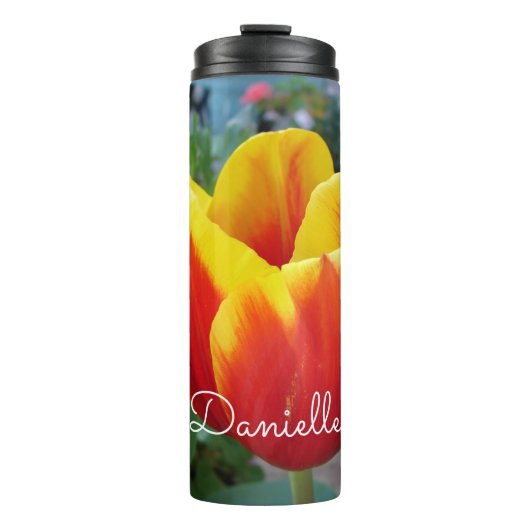 赤と黄のチューリップフローラガーデン写真 タンブラー (正面)