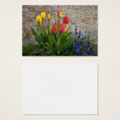 赤と黄のチューリップ (正面&裏面)