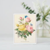 赤と黄のローズバイピエールジョセフレドゥート ポストカード (スタンド正面)