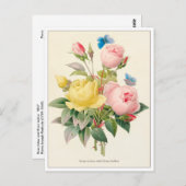 赤と黄のローズバイピエールジョセフレドゥート ポストカード (正面/裏面)