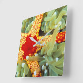 赤と黄の海の星 スクエア壁時計 (傾斜)