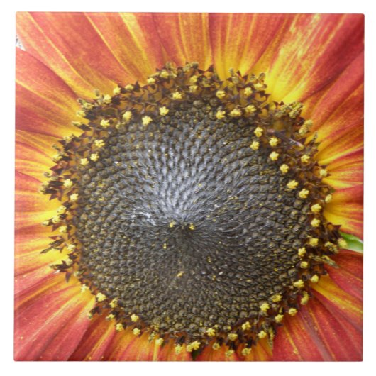 赤と黄色のひまわりタイル タイル (正面)