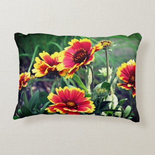 赤と黄色のガイラディアブランケットの花 アクセントクッション (裏面)