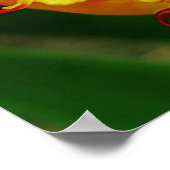 赤と黄色のクローズアップ巻きチューリップ ポスター (角)