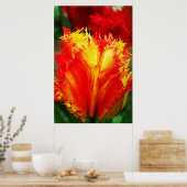 赤と黄色のクローズアップ巻きチューリップ ポスター (キッチン)