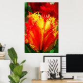 赤と黄色のクローズアップ巻きチューリップ ポスター (ホームオフィス)