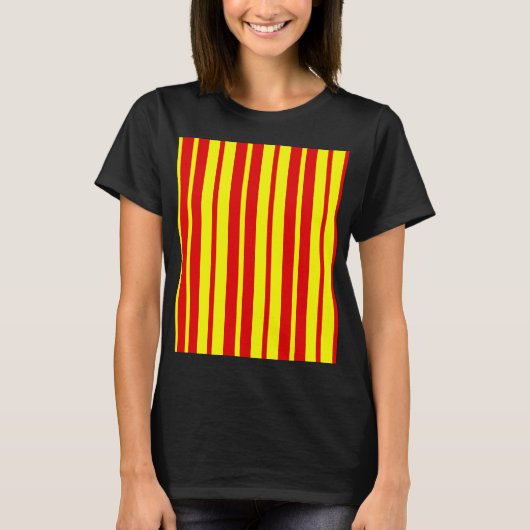 赤と黄色のストライプデザイン Tシャツ (正面)