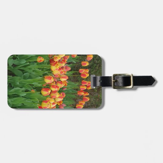赤と黄色のチューリップの花 ラゲッジタグ (正面横)