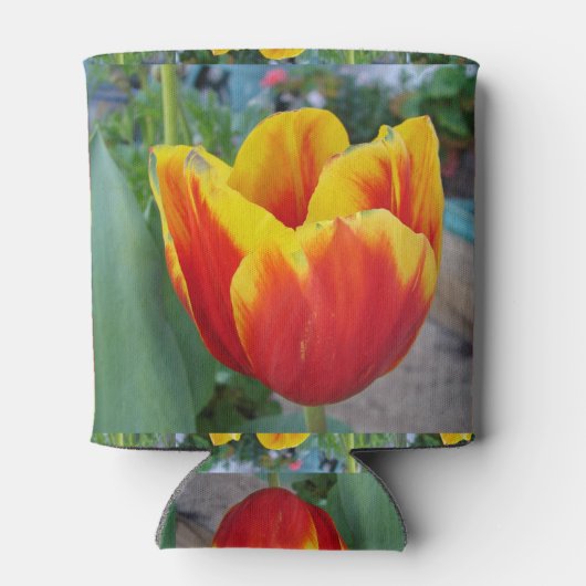 赤と黄色のチューリップフローラガーデンフォトカンコール 缶クーラー (裏面)