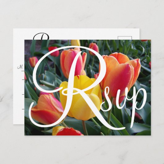 赤と黄色のチューリップ写真コンテンポラリーRSVP インビテーションポストカード (正面/裏面)