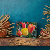 赤と黄色のチューリップ岩の庭の写真 フォトプラーク (側面)