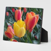 赤と黄色のチューリップ岩の庭の写真 フォトプラーク (側面)