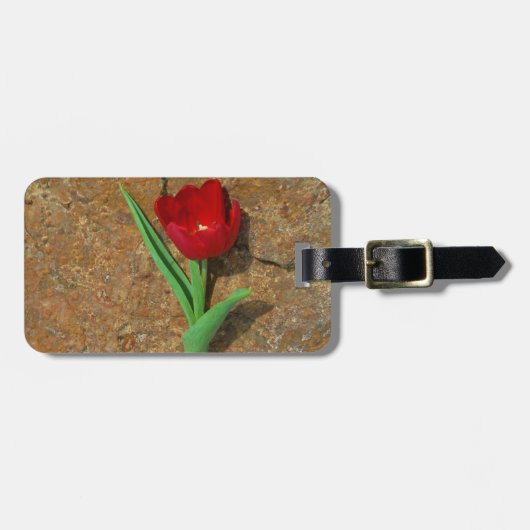 赤と黄色のチューリップ ラゲッジタグ (正面横)
