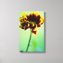 赤と黄色のデイジーフラワーキャンバス印刷 キャンバスプリント