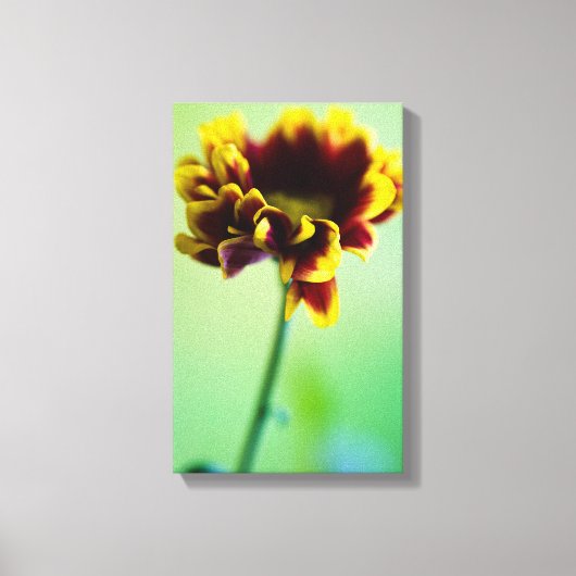 赤と黄色のデイジーフラワーキャンバス印刷 キャンバスプリント (正面)