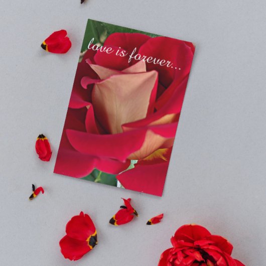 赤と黄色のバラパーソナライズされたの結婚の提案 カード