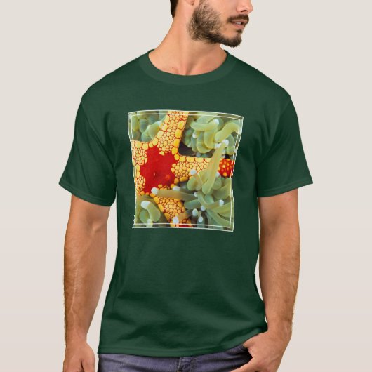 赤と黄色のヒトデ Tシャツ (正面)
