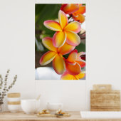 赤と黄色のプルメリア花2 ポスター (キッチン)