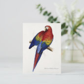 赤と黄色のマコー葉書 ポストカード (スタンド正面)