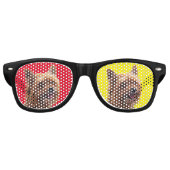 赤と黄色のヨークシャーテリア犬 レトロサングラス (正面)