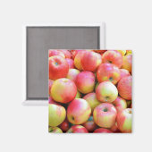 赤と黄色のリンゴプリント磁石 マグネット (正面/裏面)