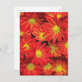 赤と黄色の花1 シーズンポストカード (正面/裏面)