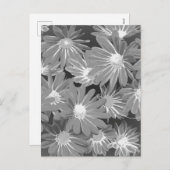 赤と黄色の花2 シーズンポストカード (正面/裏面)