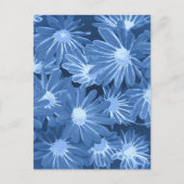 赤と黄色の花3 シーズンポストカード (正面)