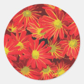 赤と黄色の花 1 ラウンドシール (正面)