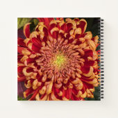 赤と黄色の菊のフローラ ノートブック (裏面)